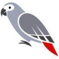 grey-parrot_146802317.jpg