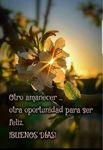 Profile (Francisca5588)