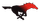 MMedina1