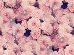 tumblr_mysckchiOF1s2sgm7o2_500.jpg