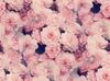 tumblr_mysckchiOF1s2sgm7o2_500.jpg