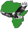 Africa-Eagle-black-bg.gif