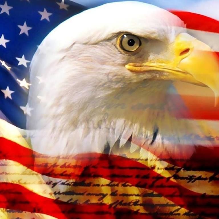 American Eagle PIC.jpg