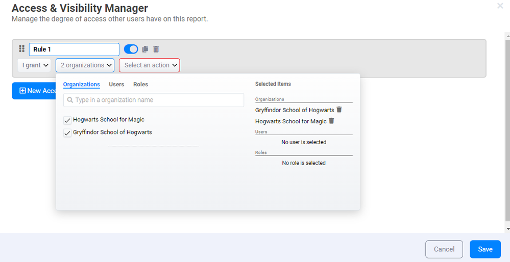 Access and Visibility Manager