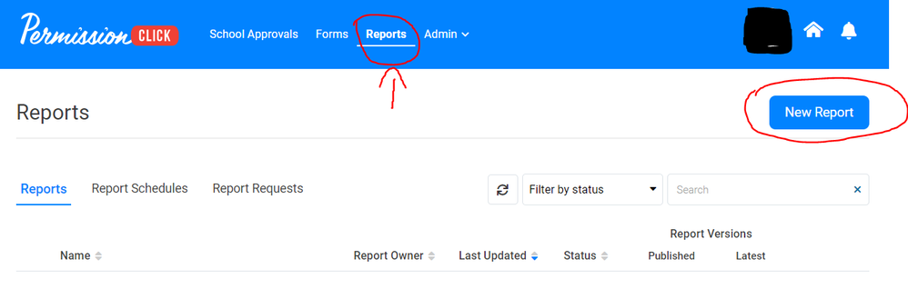 New Report button under Report tab