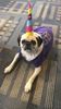 hank bday.jpg