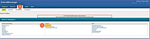 Report Tab.PNG
