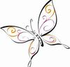 Butterfly.jpg