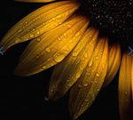 IMG_6210.jpeg