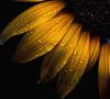 IMG_6210.jpeg