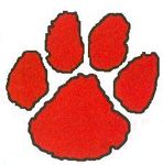 paw (2).jpg