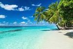 beach.jpg