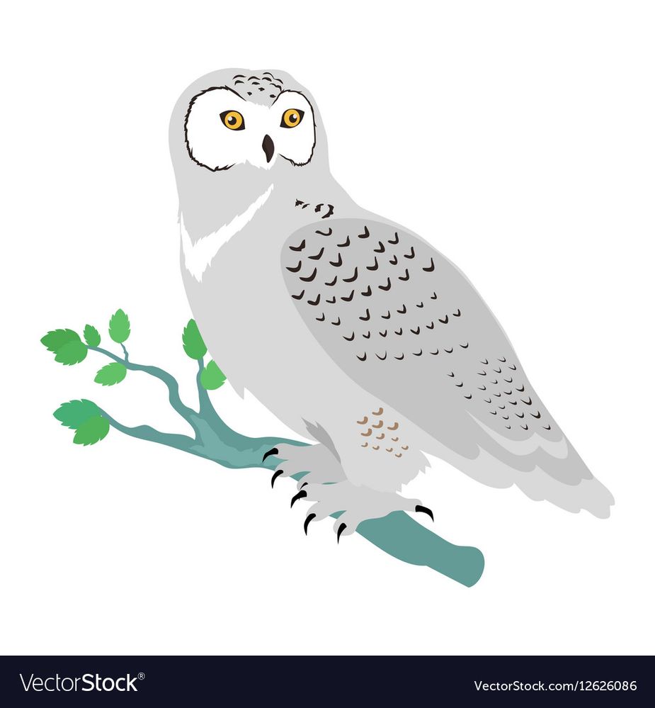 snowy-owl-flat-design-vector-12626086.jpg