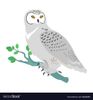 snowy-owl-flat-design-vector-12626086.jpg