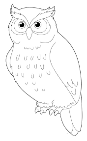 snowy_owl.png