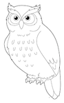 snowy_owl.png