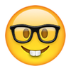 nerd-face.png