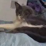 StaceyM2