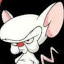 the_brain.png