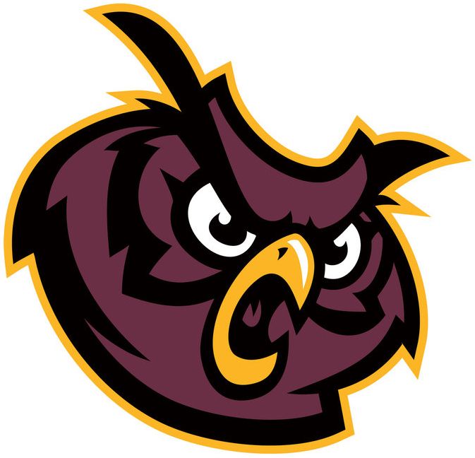 PR Owl cropped.jpg