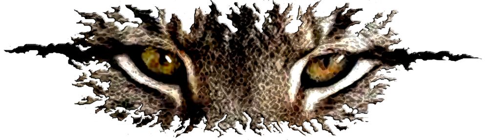 Lynx Eyes.jpg
