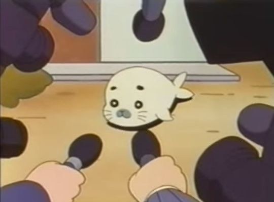 Seal pfp.jpeg
