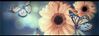 IMG_6246.jpeg