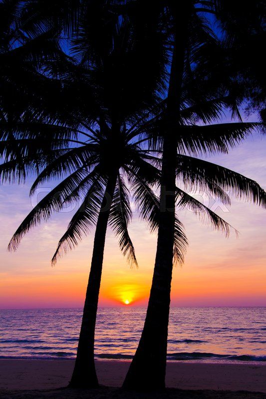 Sunset.jpg