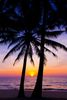 Sunset.jpg