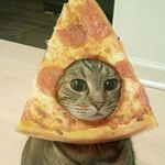 Flower_Cat_