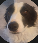 Profile (Neena_Frakes)