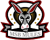 MSBMule Logo_transparent background.png