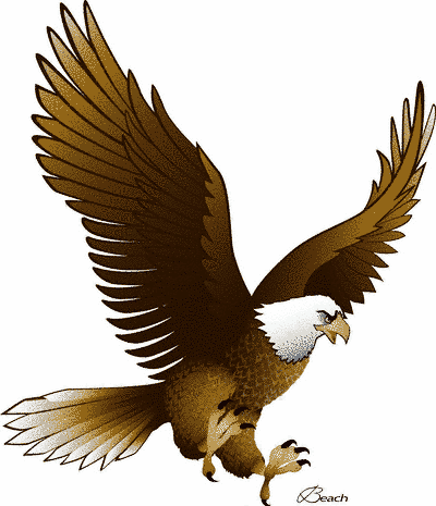 Eagle-AF-1.png