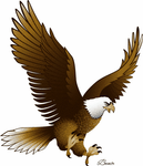 Eagle-AF-1.png