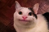 Screenshot 2025-09-18 10.12.37 AM.png