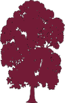 maroon chinquapin tree.png
