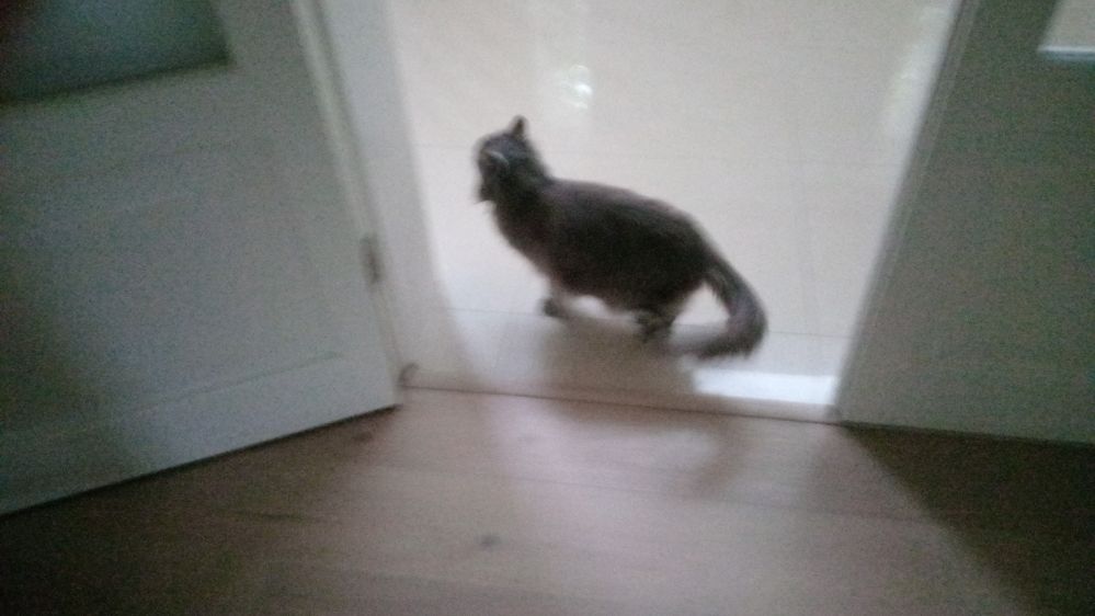 IMG-20250927-WA0070.jpeg