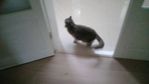 IMG-20250927-WA0070.jpeg