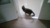 IMG-20250927-WA0070.jpeg