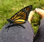 IMG_0489.jpeg