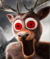 deer.png