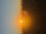 IMG_8407.jpeg