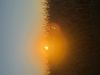 IMG_8407.jpeg