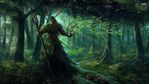 Profile (SkyeN)