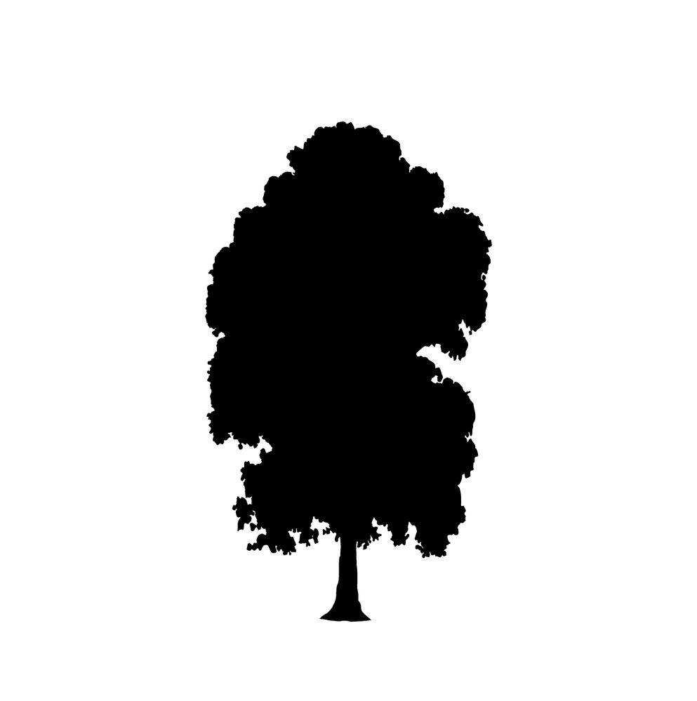 CPS Tree with motto.png