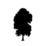 CPS Tree with motto.png