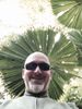 PalmMark.jpg