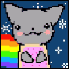 1DOU (1).gif