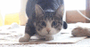 1451098938_FJ6DTMr[1].gif