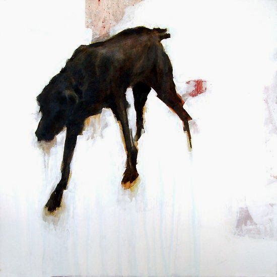 black-dog.jpg
